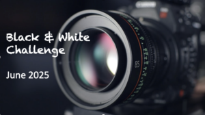 Read more about the article Black & White Challenge: June Photo Club 2025